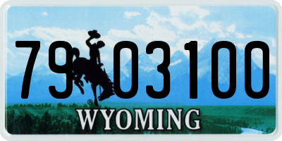WY license plate 7903100