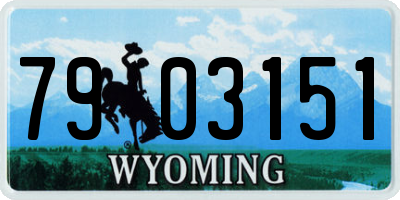WY license plate 7903151