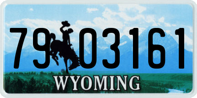 WY license plate 7903161