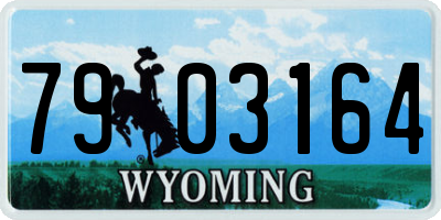 WY license plate 7903164