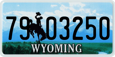 WY license plate 7903250