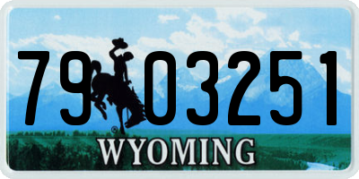WY license plate 7903251