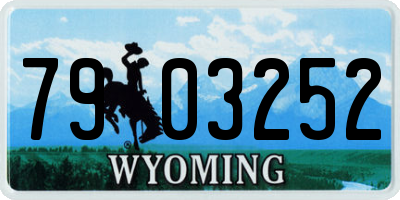 WY license plate 7903252