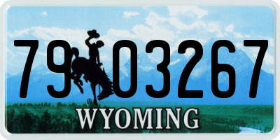 WY license plate 7903267