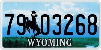 WY license plate 7903268