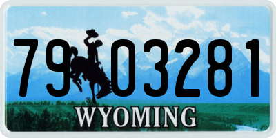WY license plate 7903281
