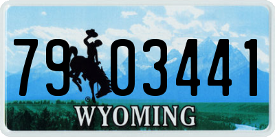 WY license plate 7903441