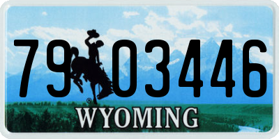 WY license plate 7903446