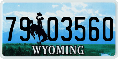 WY license plate 7903560