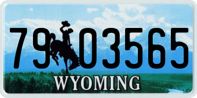 WY license plate 7903565