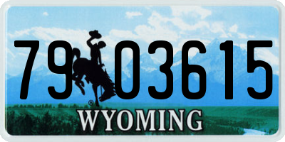 WY license plate 7903615