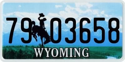 WY license plate 7903658