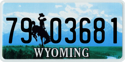 WY license plate 7903681