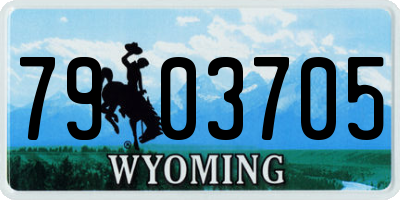 WY license plate 7903705