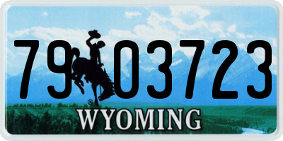 WY license plate 7903723