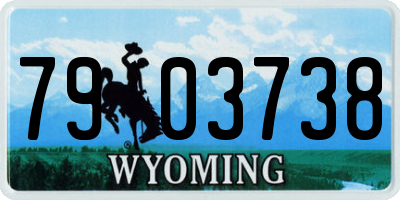 WY license plate 7903738