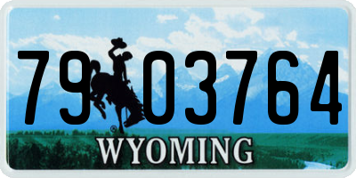 WY license plate 7903764