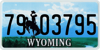 WY license plate 7903795