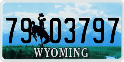 WY license plate 7903797