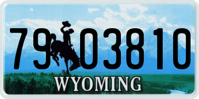 WY license plate 7903810