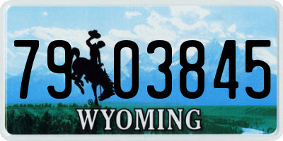 WY license plate 7903845