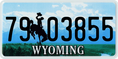 WY license plate 7903855