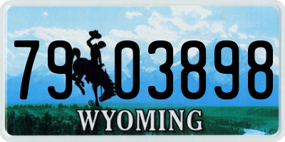 WY license plate 7903898