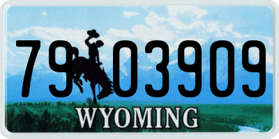 WY license plate 7903909