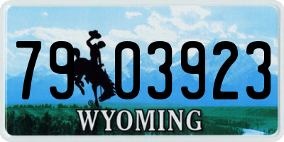 WY license plate 7903923