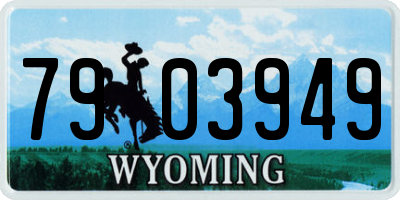 WY license plate 7903949