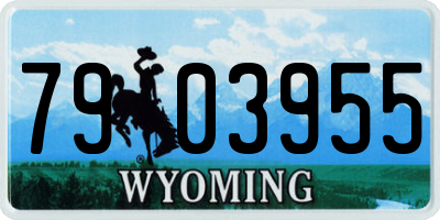 WY license plate 7903955