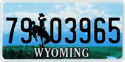 WY license plate 7903965