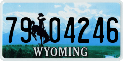 WY license plate 7904246