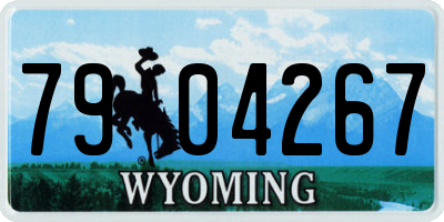 WY license plate 7904267