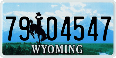 WY license plate 7904547