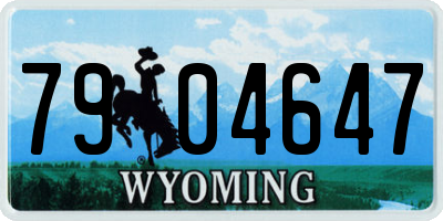 WY license plate 7904647