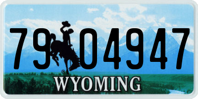 WY license plate 7904947