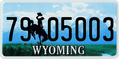 WY license plate 7905003