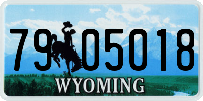WY license plate 7905018
