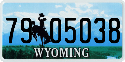 WY license plate 7905038