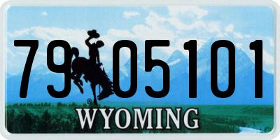WY license plate 7905101