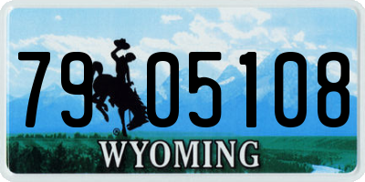 WY license plate 7905108