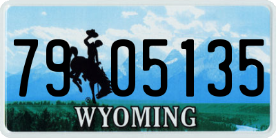 WY license plate 7905135