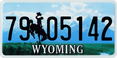 WY license plate 7905142