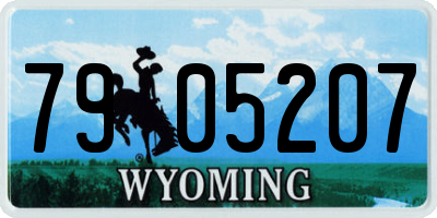 WY license plate 7905207