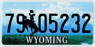 WY license plate 7905232