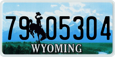 WY license plate 7905304