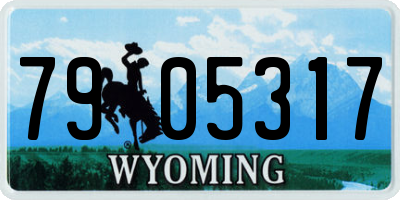 WY license plate 7905317