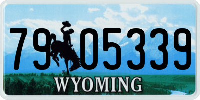 WY license plate 7905339