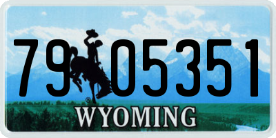 WY license plate 7905351